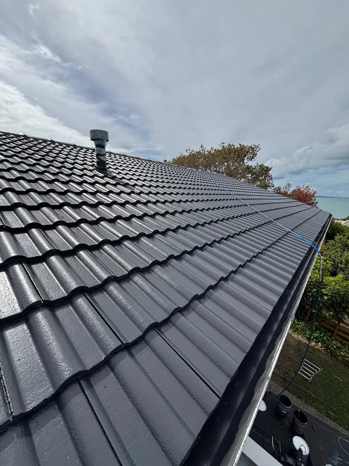Auckland hip tile roof after respray — fresh dark, glossy coating overlooking the harbour