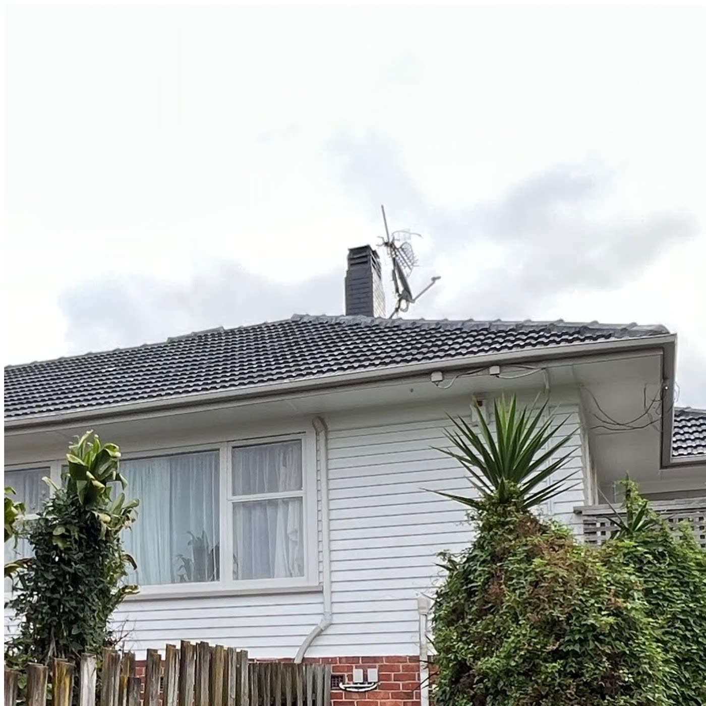 The same Auckland bungalow after roof restoration — fresh dark grey coating on the tiles, same chimney, antenna, yucca and fence, dramatic colour transformation