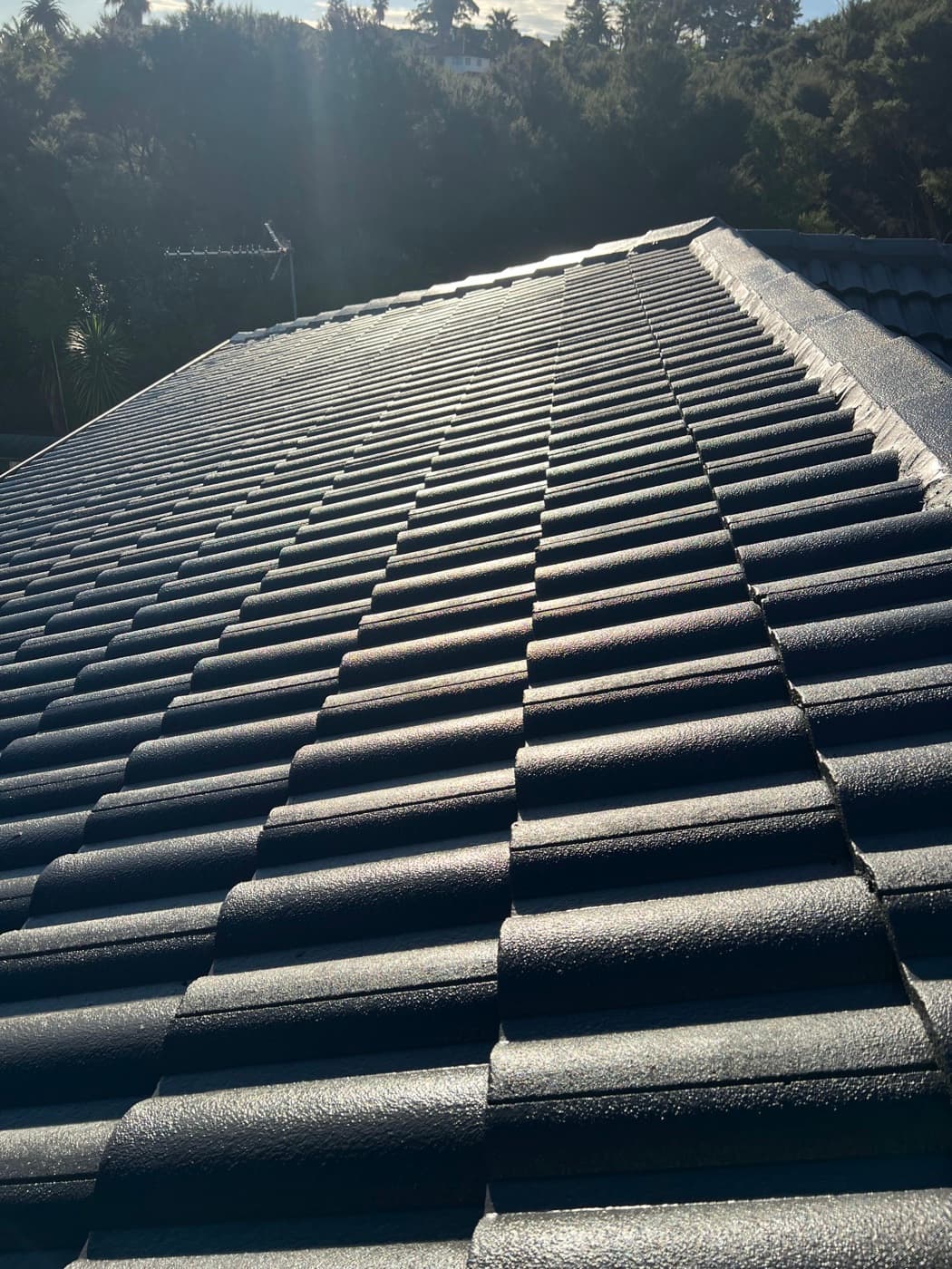 An Auckland concrete tile roof ridge after recoating — even, deep colour and a clean, protected finish in afternoon sun