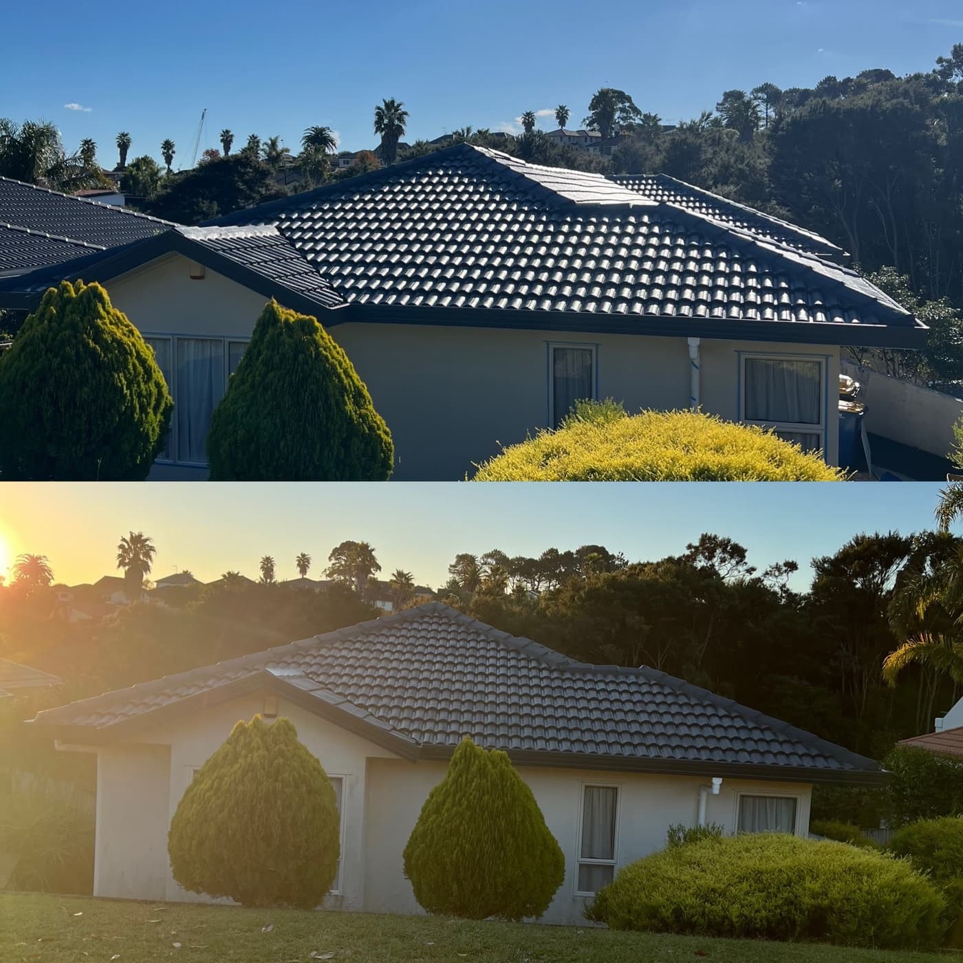 Auckland tile roof restoration before and after — mossy weathered roof transformed to clean dark grey at golden hour