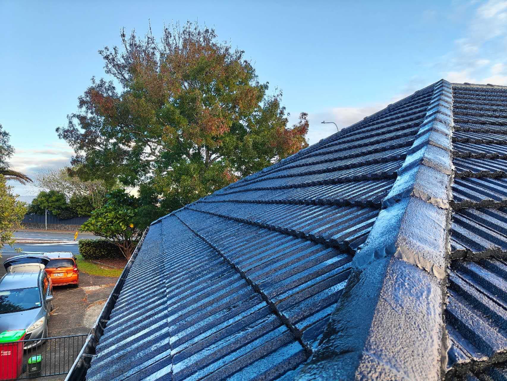 Freshly resprayed hip tile roof with autumn tree and suburb backdrop