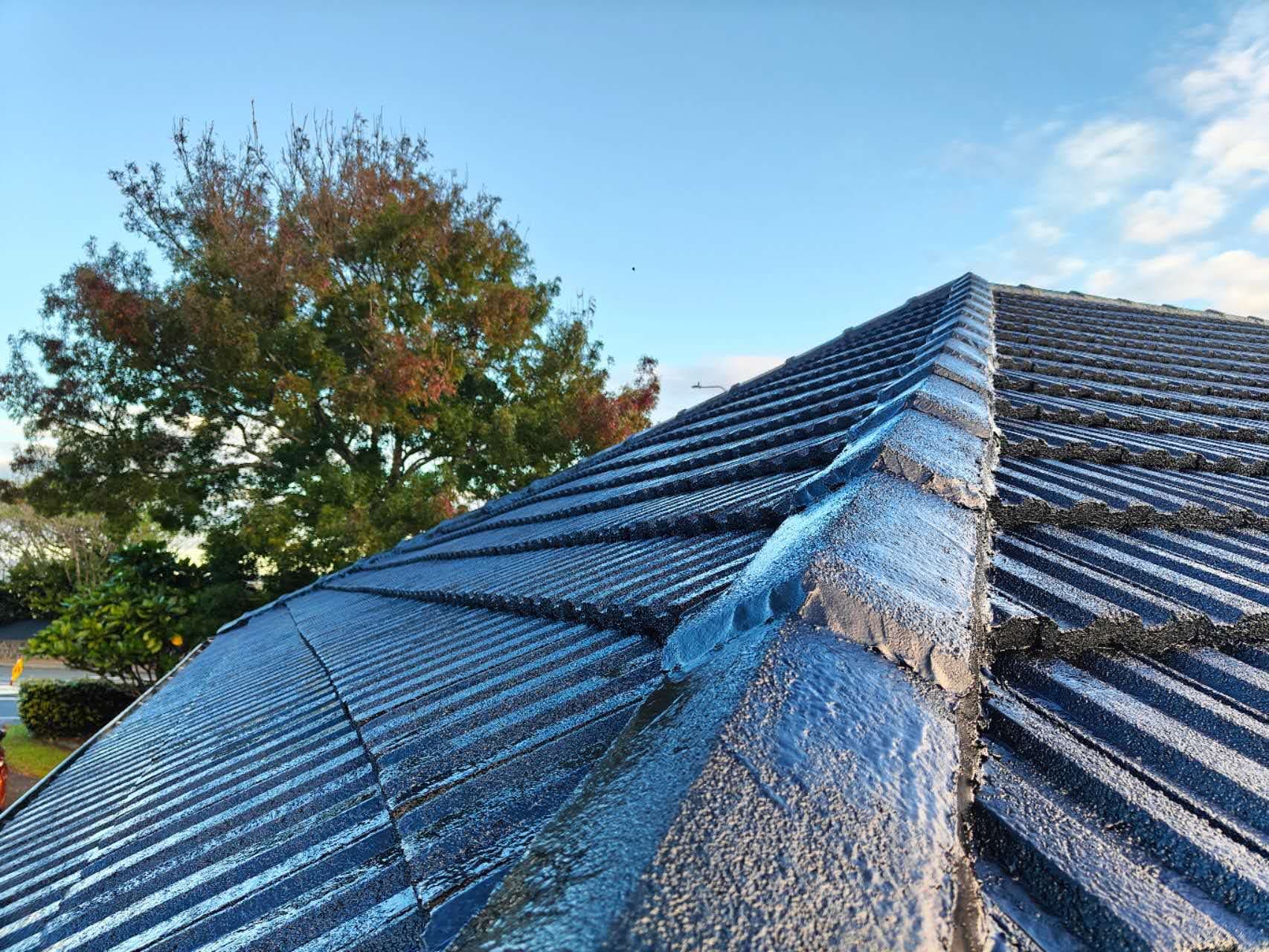 Freshly recoated ridge cap tiles catching early morning light